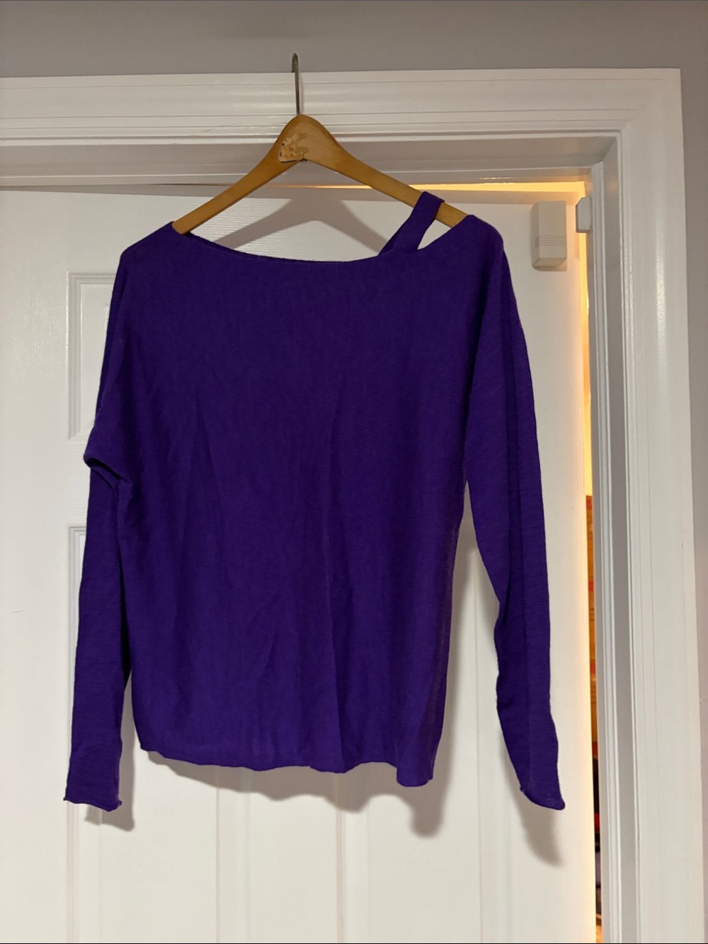 Eileen Fisher Purple One-Shoulder Long Sleeve Top